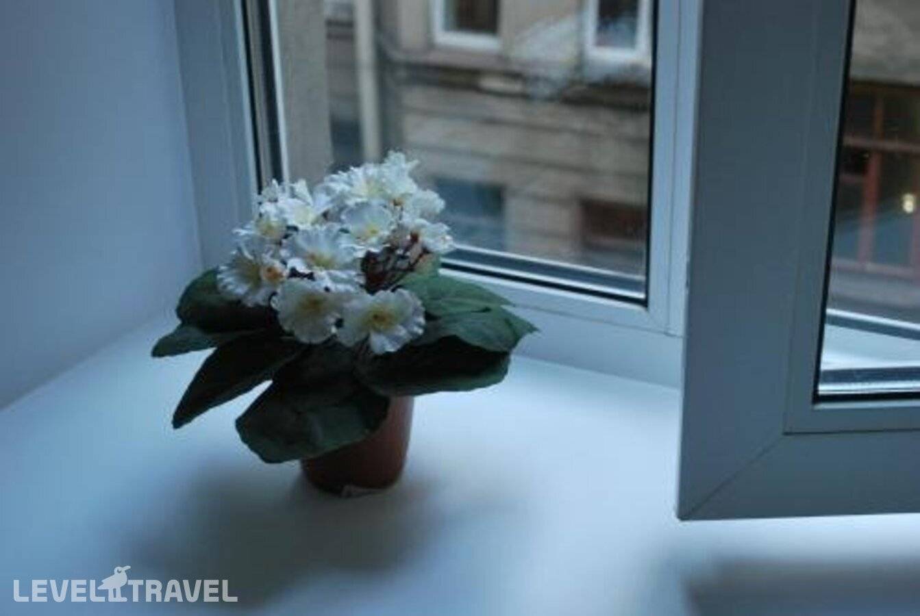 Изображение отеля 7