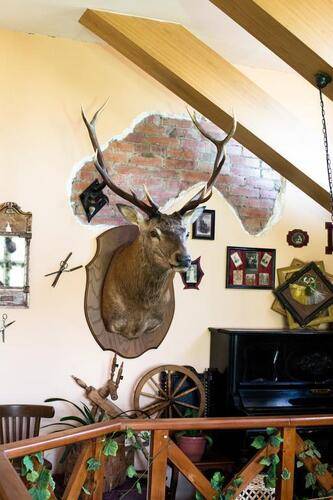 Таверна Лисья Нора