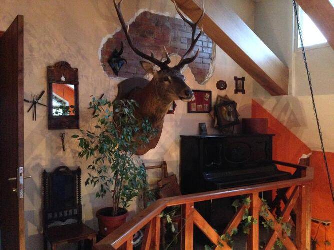 Таверна Лисья Нора