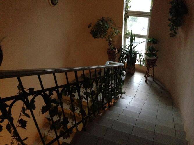 Таверна Лисья Нора