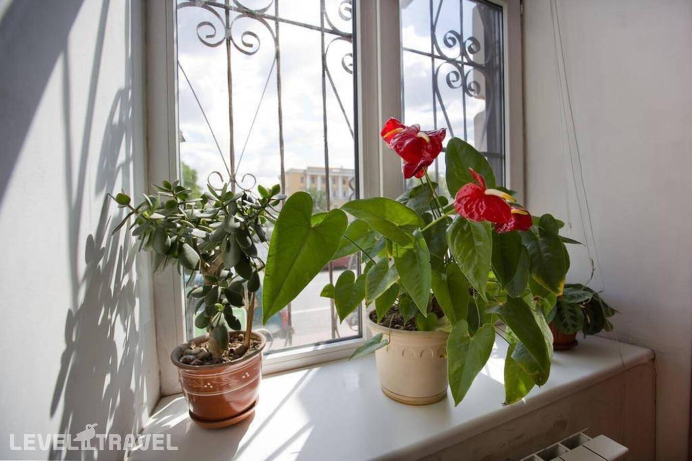 Изображение отеля 35