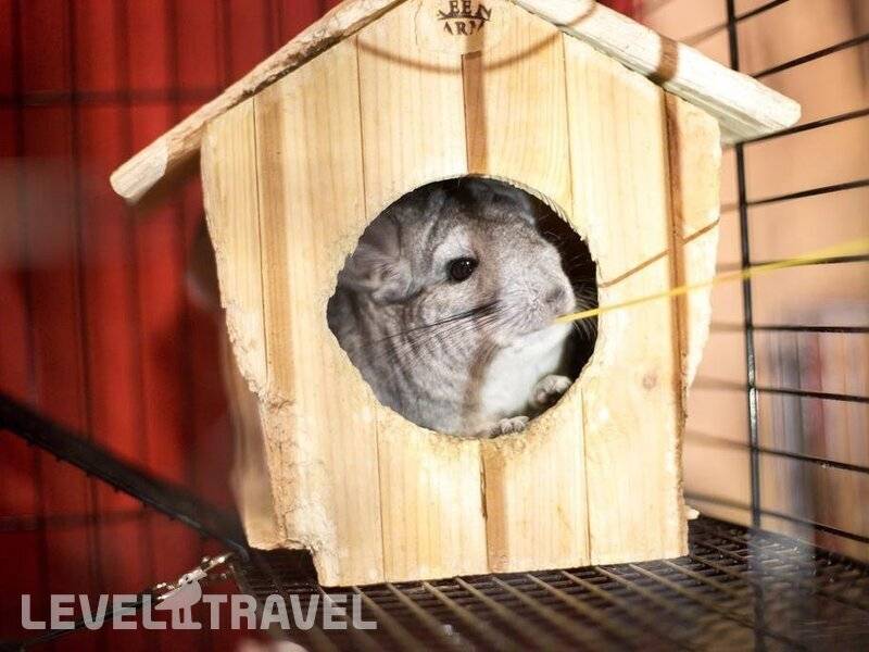 Фотография Другой Хостел