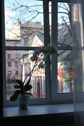 Трезини Арт-Отель (Trezzini Art Hotel)