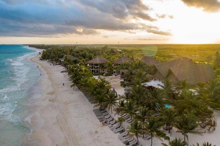 Selina Los Lirios Tulum