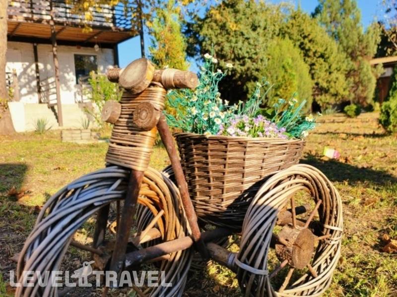 Фотография Пансионат Уральские Самоцветы Фотография Пансионат Уральские Самоцветы