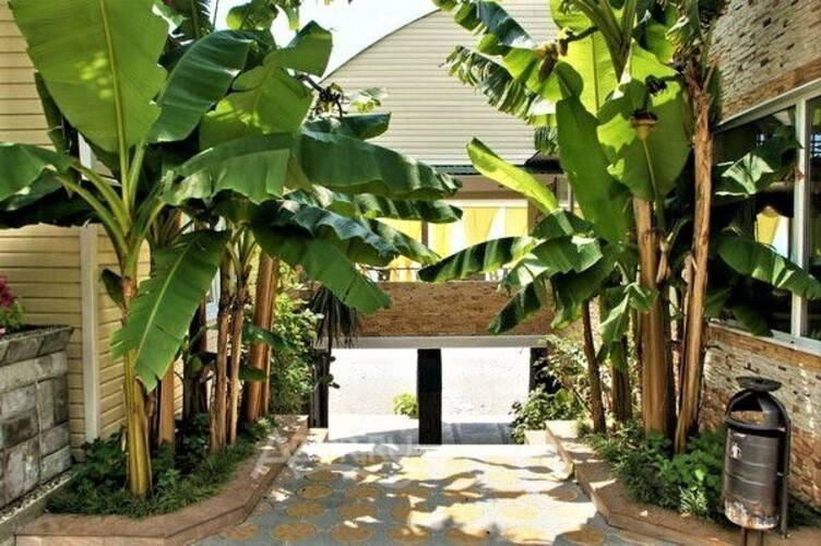 Мини-Отель Лучезарный