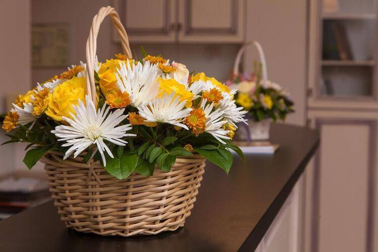 Отель Классики