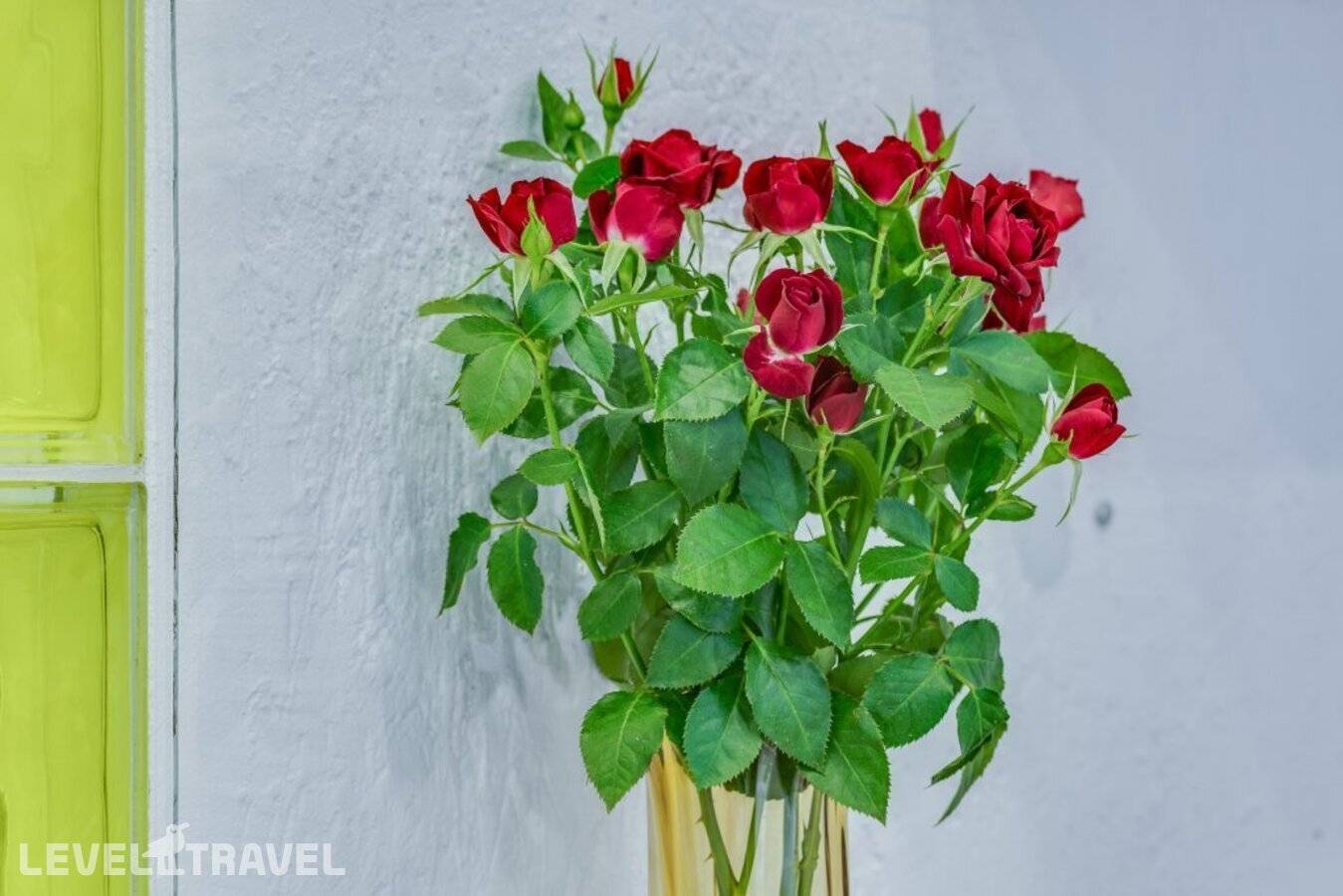 фотографии отеля Отель Travelto Narvskaya (Травелто Нарвская) в Россия(Адмиралтейский район) - фото №7