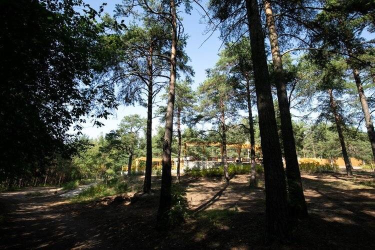 На Реке Сестре 51