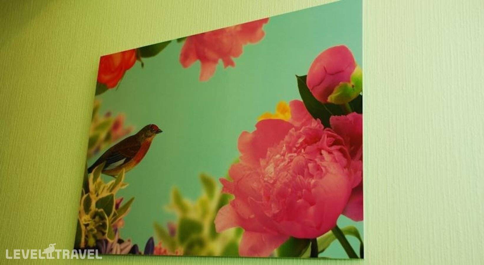 Изображение отеля 11
