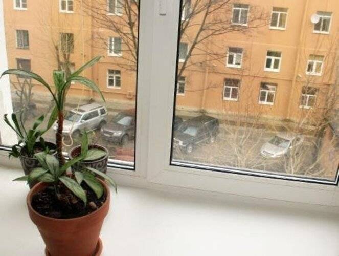 Хостел Петр