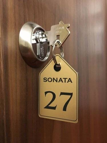 ГД Соната На Невском 5
