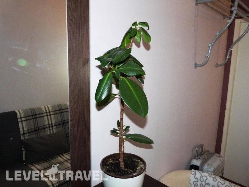 Фотография Хостел Центр