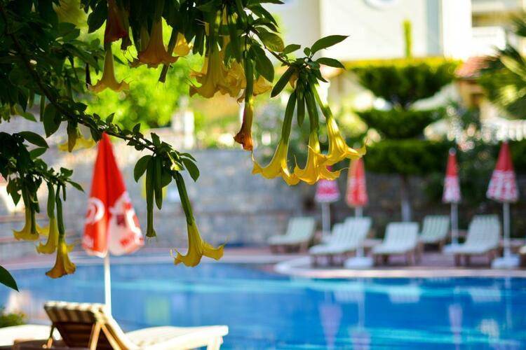 Mountain Valley Apart Hotel & Villas