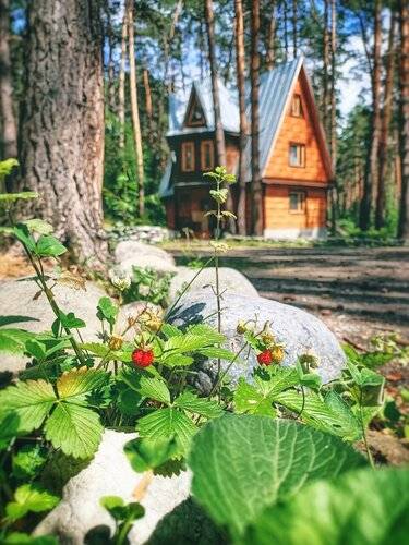 Туркомплекс Манжерок