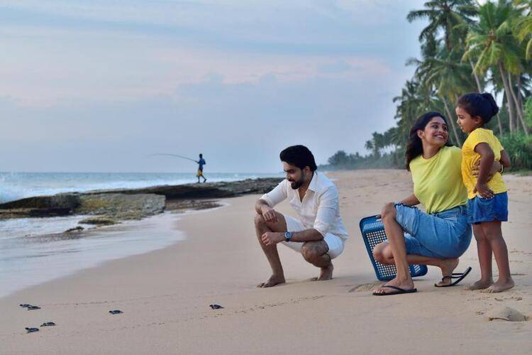 Sheraton Kosgoda Turtle Beach Resort