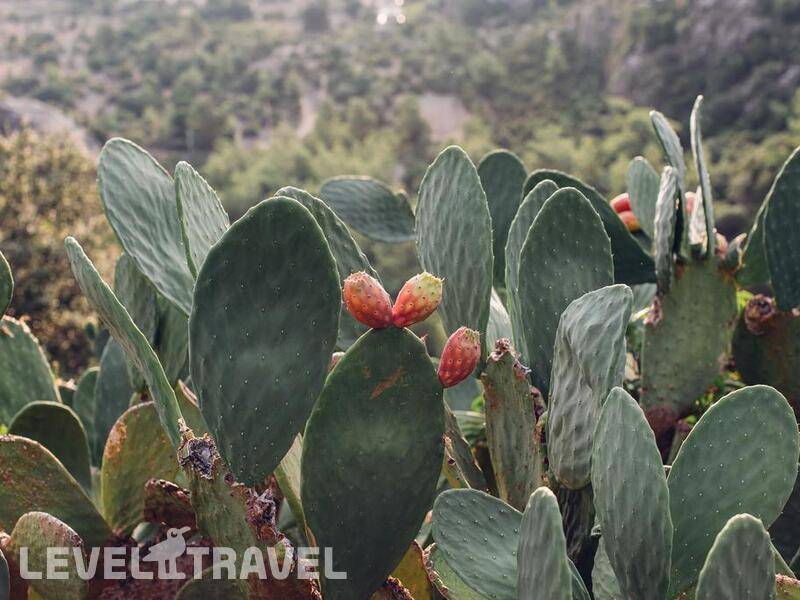 Фотография Dionysos Hotel Marmaris