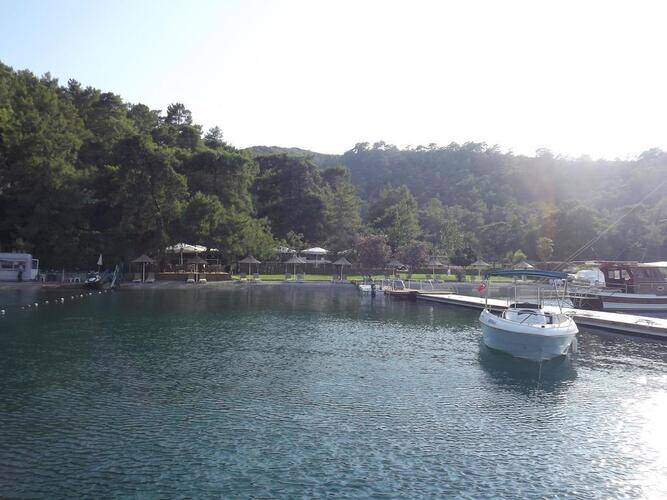Alesta Yacht