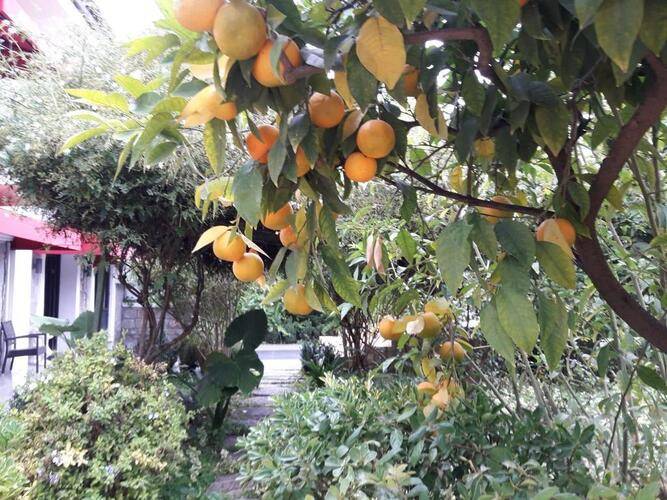 Akkent Garden Hotel
