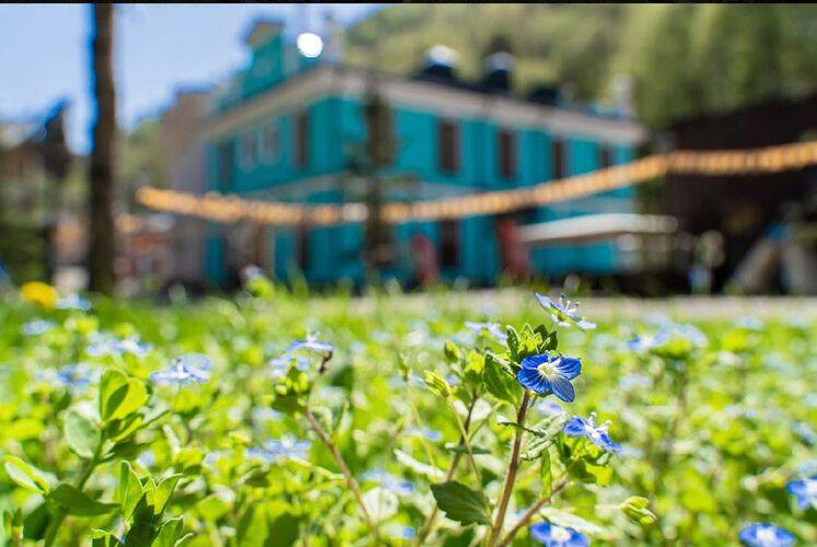 Бутик-Отель Русские Сезоны Невский Бутик