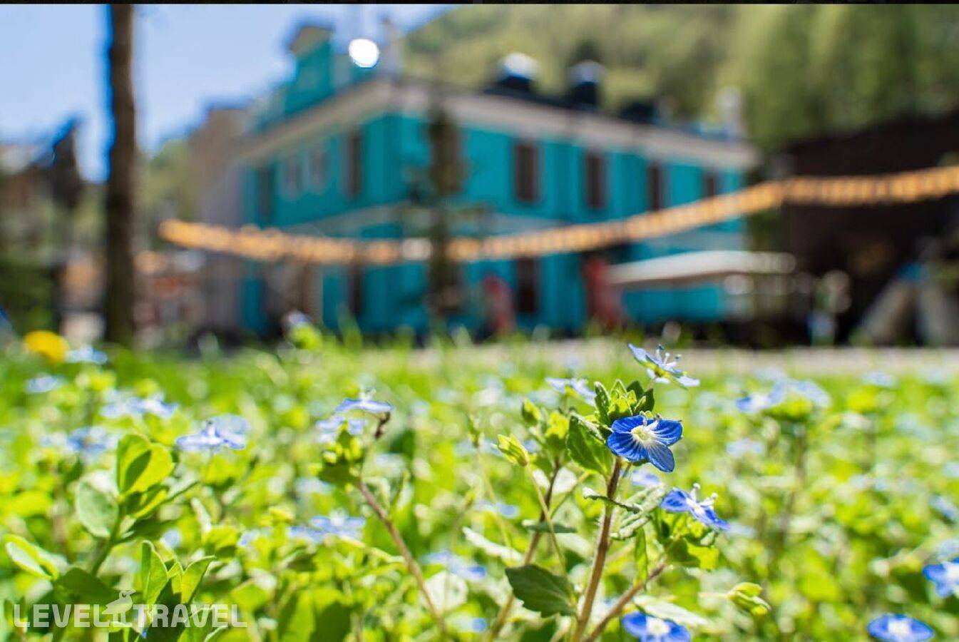 фотографии отеля Бутик-Отель Русские Сезоны Невский Бутик в Россия(Роза Хутор) - фото №6