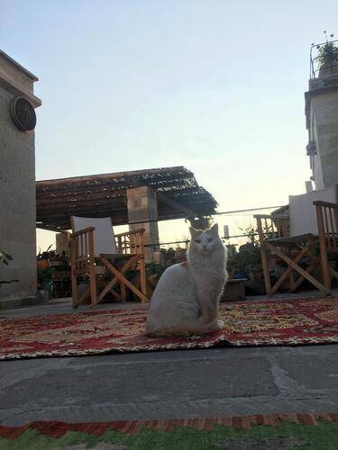 Maze Of Cappadocia Hotel Boutique