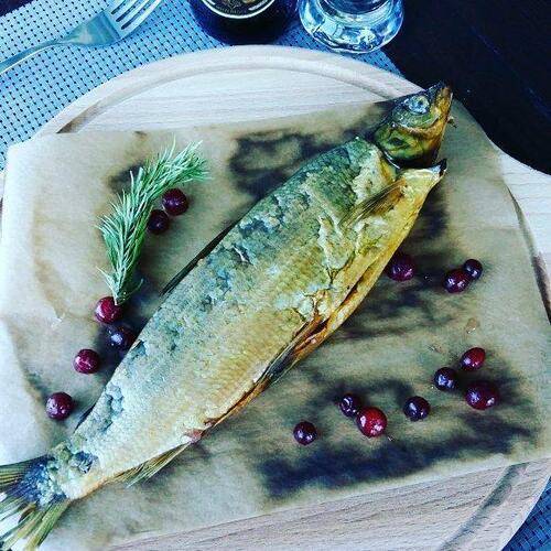 Отель Лапландия