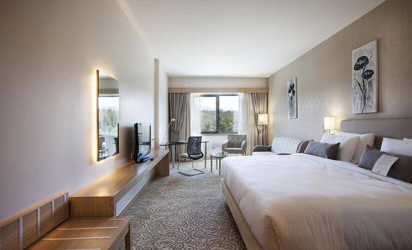 Park Dedeman Denizli Hotel
