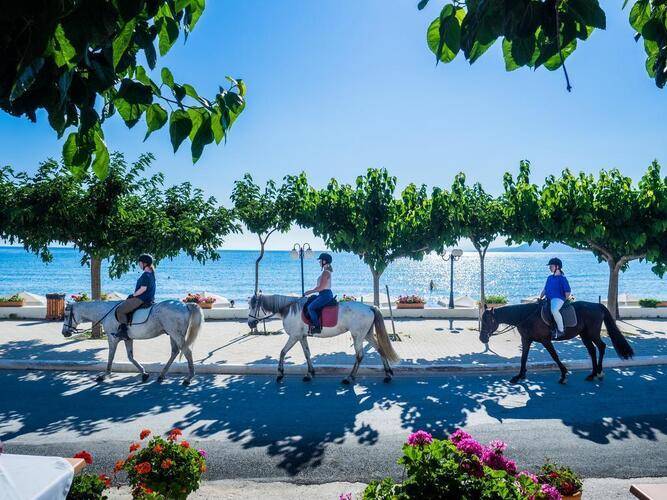 Cooee Corissia Harmony Hotel (Adults Only 18+)