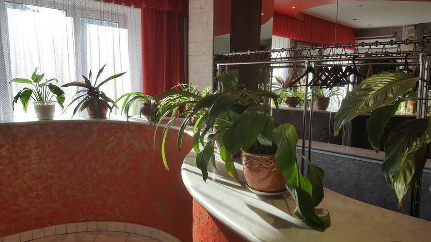 Ryan Johnson Hotel