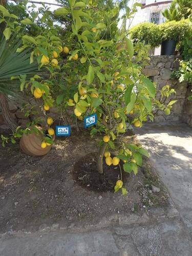 Panorama Hotel Bodrum