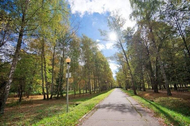 Звенигородский