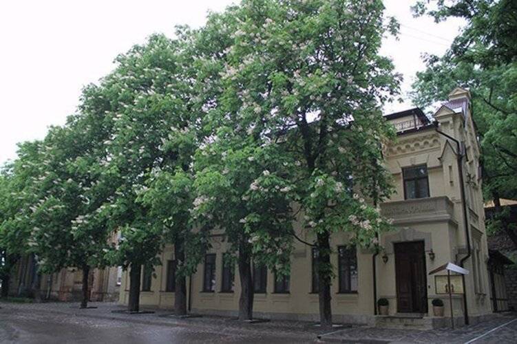Отель Княжна Мери