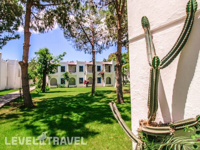 Фотография Club Muskebi Hotel