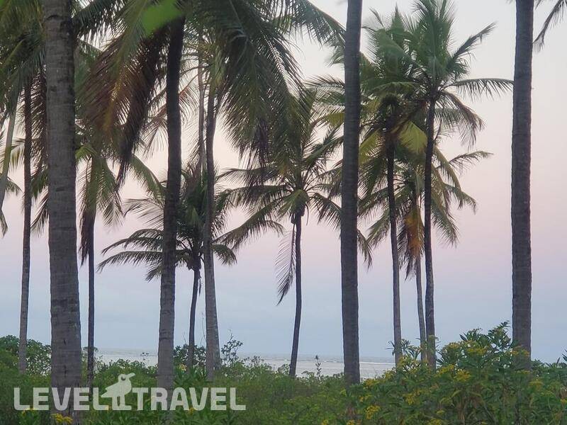 Фотография Kilimani Kwetu Beach Hotel