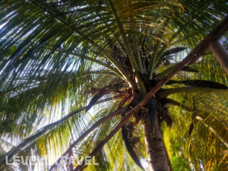 Фотография Kilimani Kwetu Beach Hotel