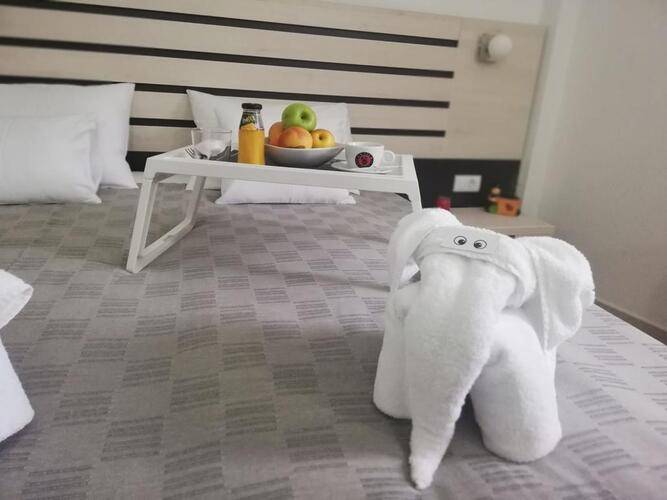 11tica Dm Hotel