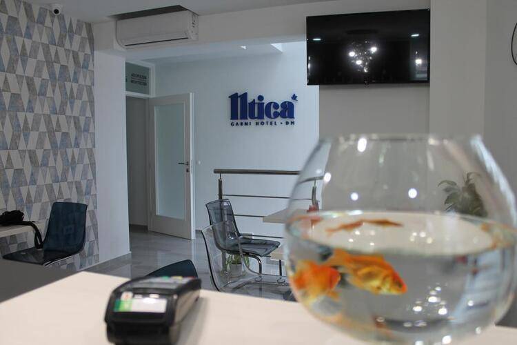 11tica Dm Hotel