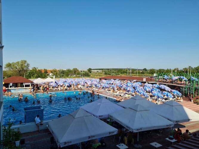 Flamingo Resort