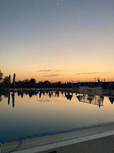 Flamingo Resort