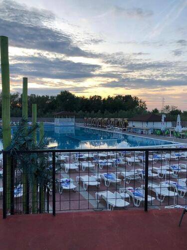 Flamingo Resort
