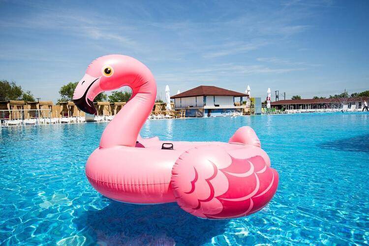 Flamingo Resort