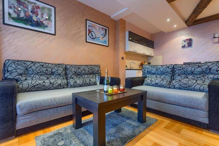 Vila Barovic Spa Zlatibor