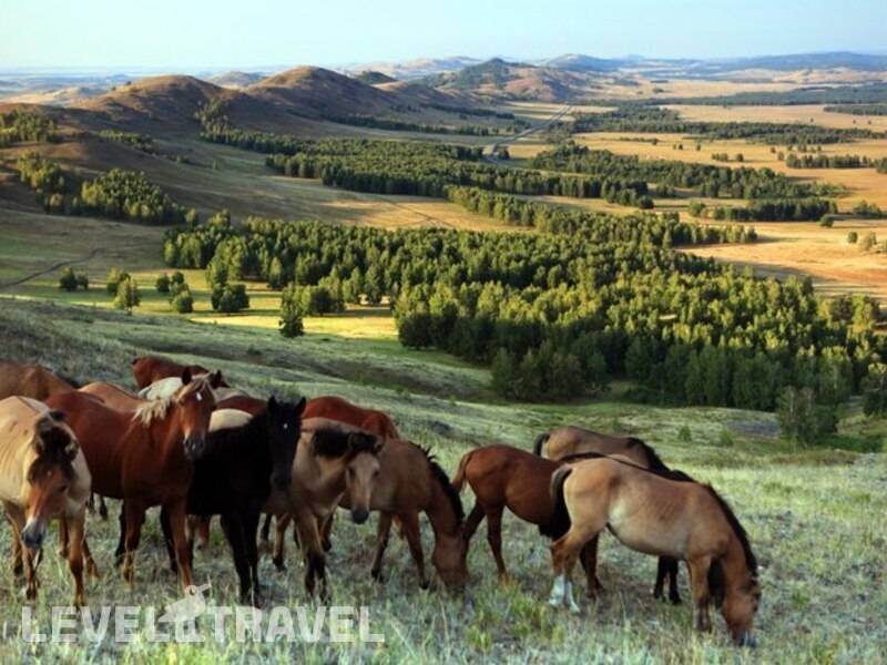 Фотография Санаторий Якты-Куль