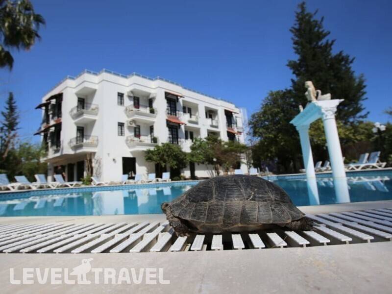 Фотография Green Valley Boutique Hotel