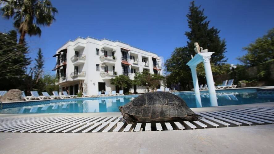 Green Valley Boutique Hotel
