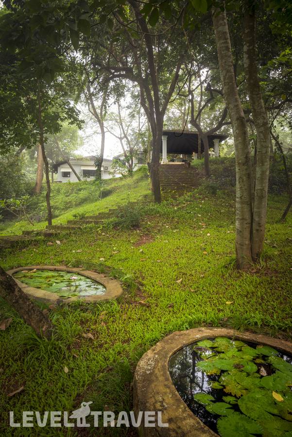 фотографии отеля The Postcard Velha в Индия(Гоа) - фото №8