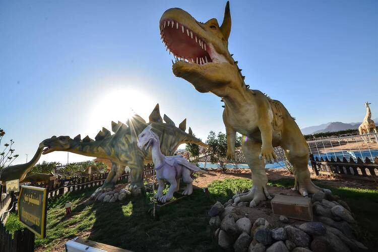 Vie Palma Di Sharm Resort & Aqua Park (Ex. Palma Di Sharm)