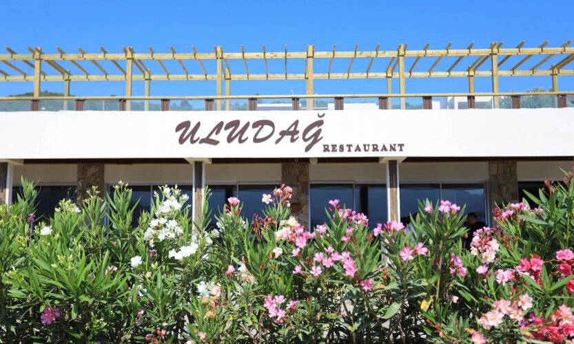Trendlife Hotels Torba (Ex.Mi Casa) (Adults Only 14+)