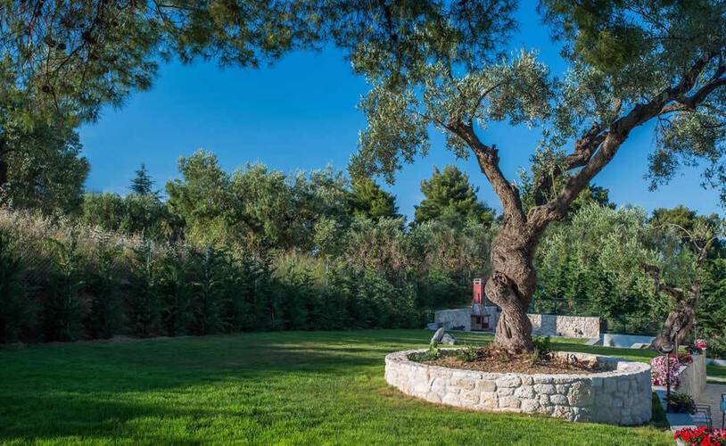 Mirabilia Boutique Hotel